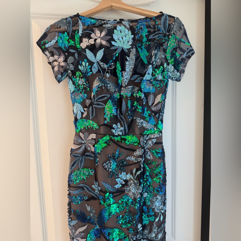 NWOT BRONX AND BANCO ZINNA EMBROIDERED EVENING Blue and Green Floral DRESS - Picture 6 of 13